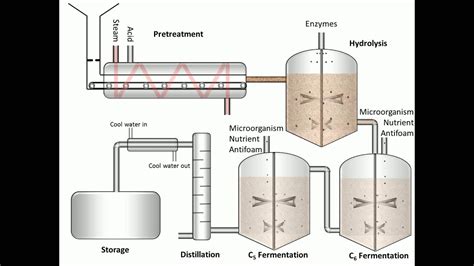 Process of Fermentation - YouTube