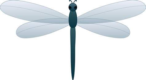 Blue dragonfly clipart 20 free Cliparts | Download images on Clipground ...