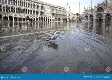 Venice, Italy - November 27, 2018: High Water on St. Mark`s Square in ...