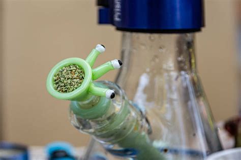 Alternative bong water: We tried it so you don’t have to – The Rocky ...