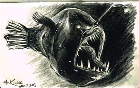 Angler Fish Sketch at PaintingValley.com | Explore collection of Angler ...