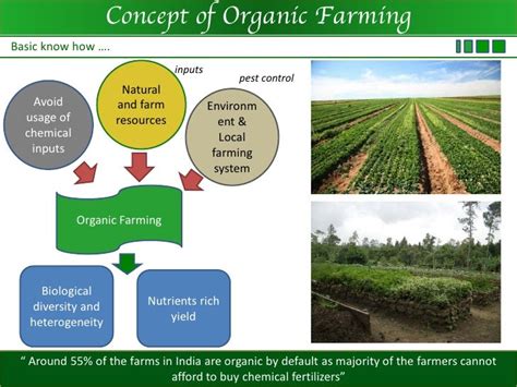 organic farming and modern techniques of crop improvement