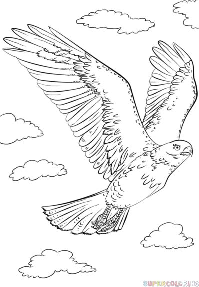 Image result for flying peregrine falcon drawing Flying Bird Drawing ...