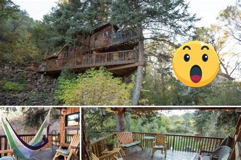 This Colorado Treehouse Airbnb Looks Amazing. Would You Stay Here