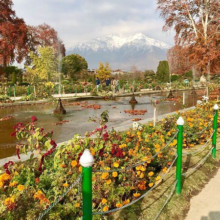 Mughal Gardens (Srinagar) - 2019 What to Know Before You Go (with ...