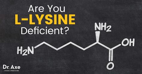 L-Lysine Benefits the Gut, Brain & Herpes Outbreaks - Dr. Axe