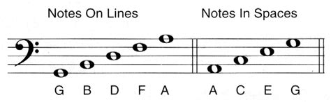 Fretboard.com - Bass Fundamentals