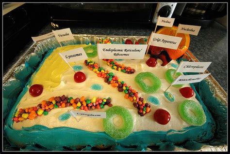 Labeled Plant Cell Cake Project | Recent Photos The Commons Getty ...