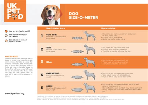 Dog Size-O-Meter | UK Pet Food