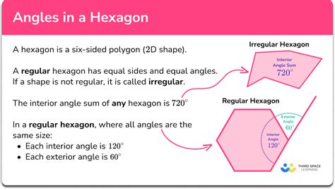 Angles In A Hexagon - GCSE Maths - Steps, Examples, Worksheet