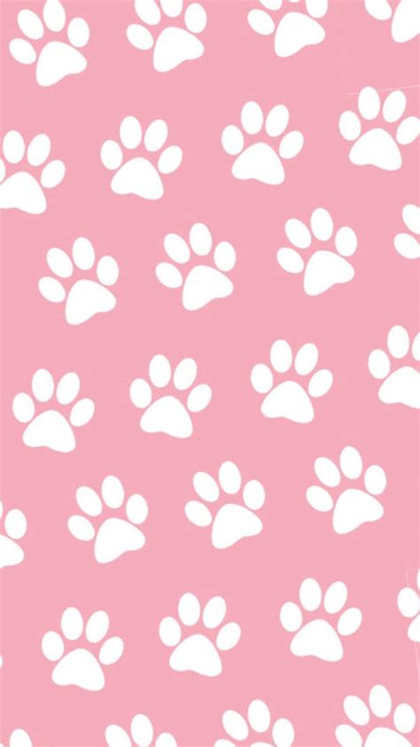 Paw Print Wallpapers - Top Free Paw Print Backgrounds - WallpaperAccess