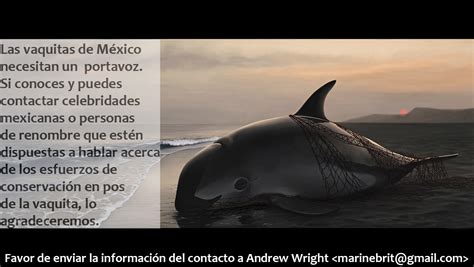 Society for Conservation Biology | Save the Vaquita