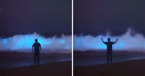 Photographer Captures Incredibly Bright Bioluminescent Waves at Newport ...