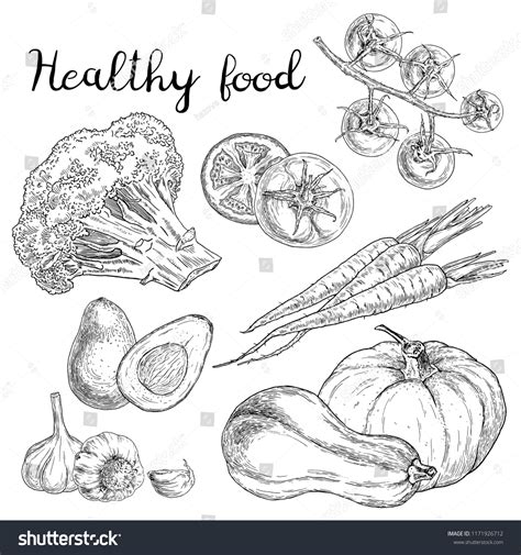 Healthy Food Sketches Hand Drawn Vegetables Stock Vector (Royalty Free ...