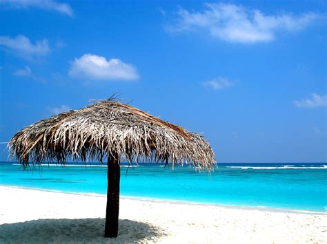 6 Tourist Places to Visit in Lakshadweep | Only In Your State Only In ...