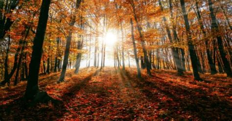 Fall Equinox Lesson Plans: 17 Autumnal Equinox Activities for Kids