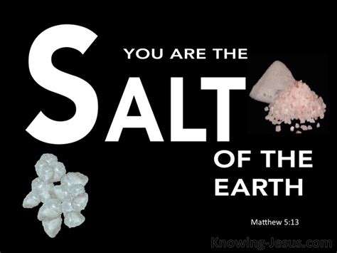 40 Bible verses about Salt