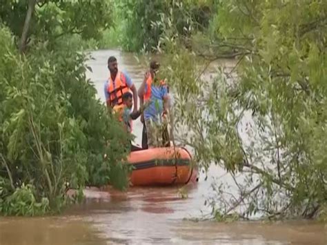 Maharashtra: Man stranded on tree in middle of swollen Warana River ...