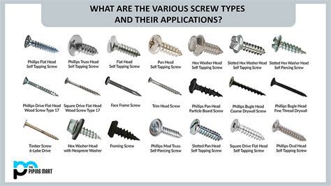 What Are The Various Screw Types And Their Applications?