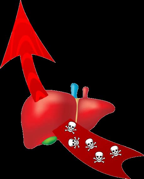 World liver day - Shilpsnutrilife