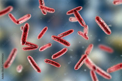 Bacteria Citrobacter, Gram-negative coliform bacteria from ...