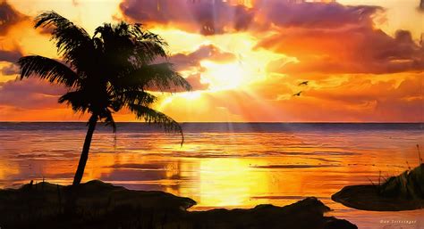 🔥 [41+] Free Sunset Tropical Island Wallpapers | WallpaperSafari