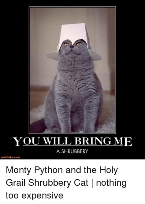 Find the newest Monty Python And The Holy Grail Shrubbery meme. The ...