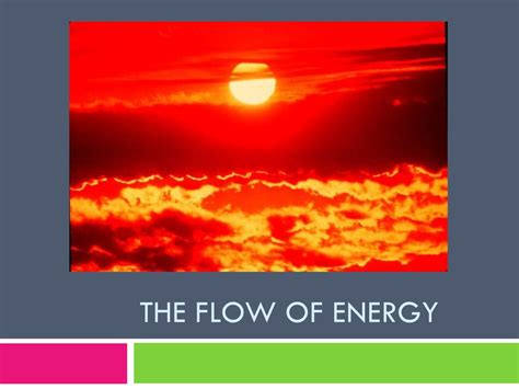 The Flow of Energy. - ppt download