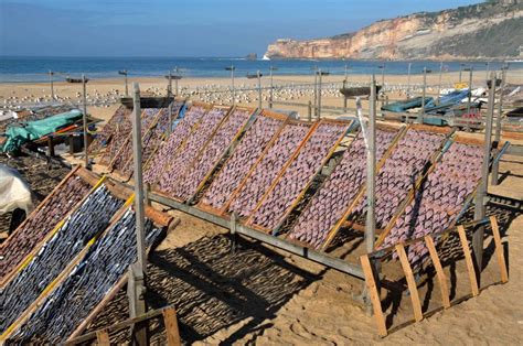 Nazaré Canyon Experience | experitour.com