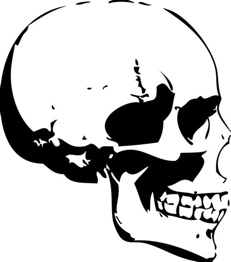 Art basics, Skull art, Skull stencil