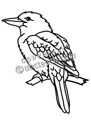 Outline Drawings, Bird Drawings, Ink Drawing, Outline Pictures, Acrylic ...