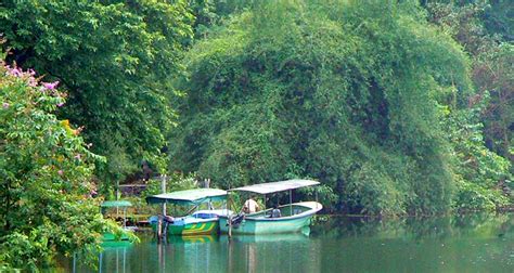 Salim Ali Bird Sanctuary/Thattekad Bird Sanctuary Munnar (Timings ...