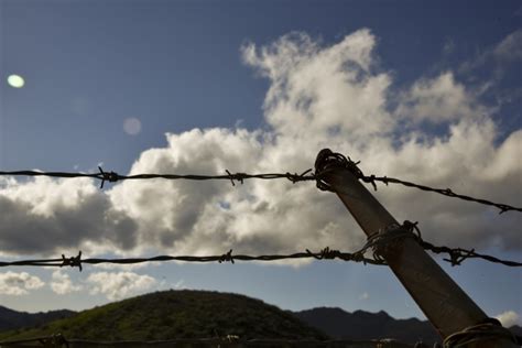 Barb Wire Fence Free Stock Photo - Public Domain Pictures