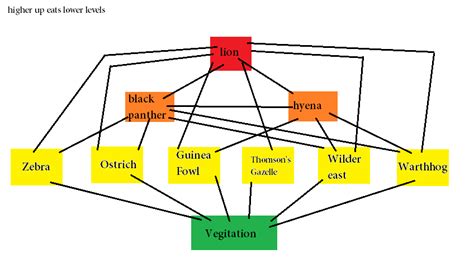 Nutrition - The black panther