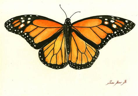 Monarch Butterfly Paintings