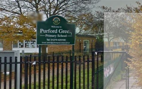 Ofsted praise Purford Green Primary in glowing inspection report - Your ...