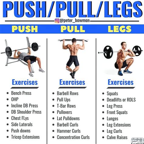 Push/Pull/Legs Weight Training Workout Schedule For 7 Days - GymGuider ...