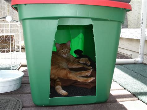 The Very Best Cats: How to Make a Winter Shelter for an Outdoor Cat