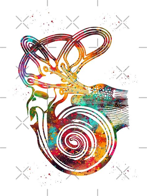 "Ear anatomy" Poster by erzebetth | Redbubble