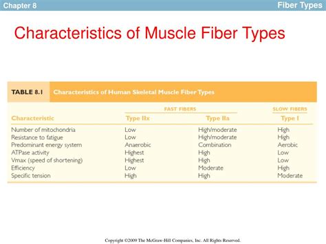 Skeletal Muscle Fiber Types