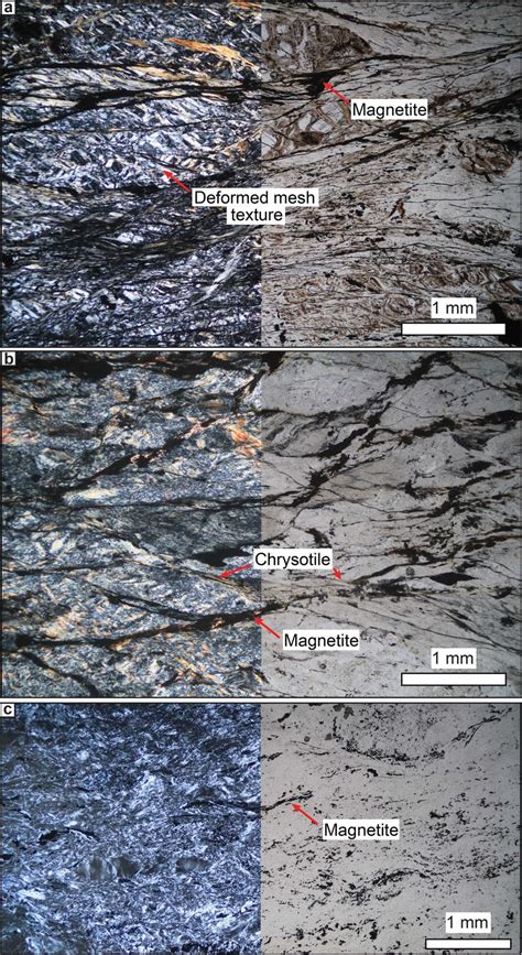 Evolution of serpentinite texture and mineralogy in scaly shear zone ...