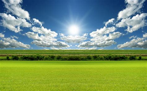 HD wallpaper: Bright Day Light HD, green field, nature, landscape ...