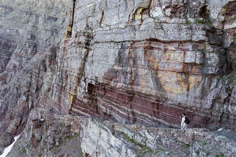 Grinnell Formation and trail, Montana (vertical) – Geology Pics