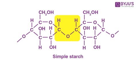 Starch: Diagram, Structure and Features