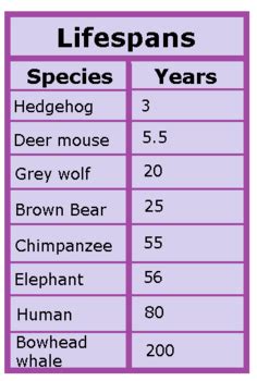 Top 132 + Lifespan of various animals - Lestwinsonline.com