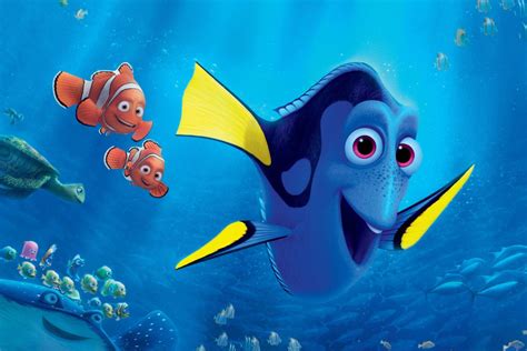 John Dory Fish Finding Nemo - Unique Fish Photo