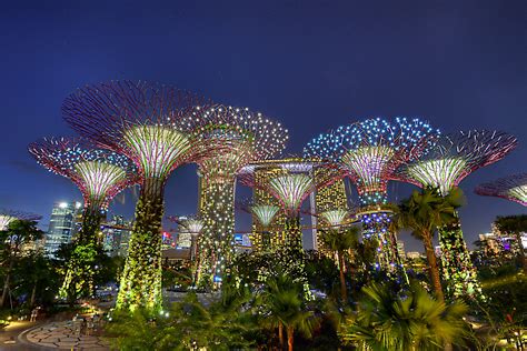 Singapore: Flower Dome and Cloud Forest, a botanical world