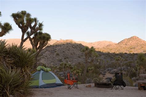 Black Rock Campground - Joshua Tree National Park (U.S. National Park ...