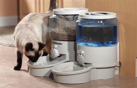 7 Best Automatic Cat Feeder Reviews (Updated 2018) | Pawsome Kitty