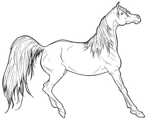 Mustang Horse Coloring Pages at GetColorings.com | Free printable ...